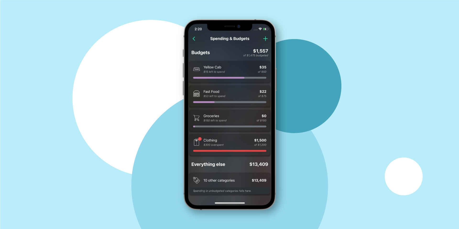 Categorizing expenses in a PocketGuard personal finance app.