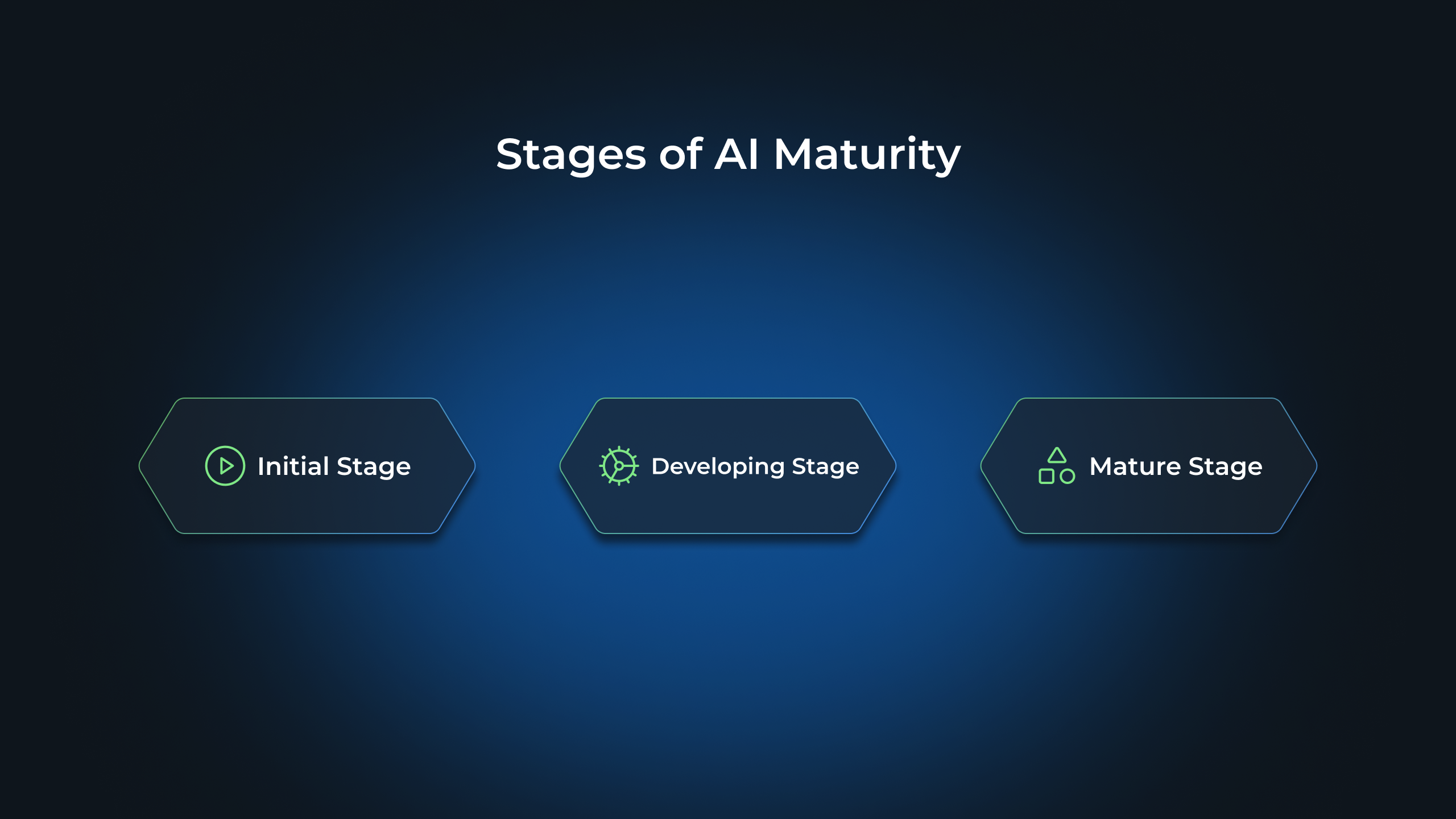 Stages of AI Maturity
Initial Stage
Developing Stage
Mature Stage

